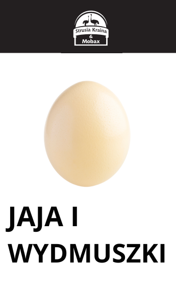 Jaja i wydmuszki